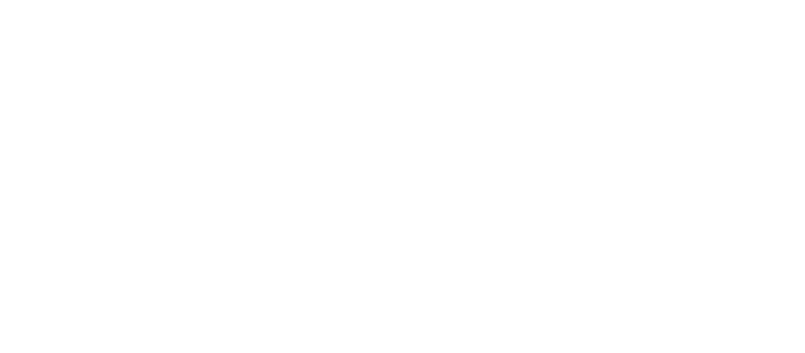 Great Lakes Lining